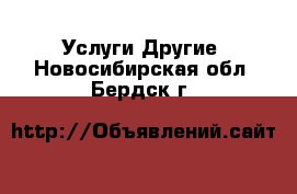 Услуги Другие. Новосибирская обл.,Бердск г.